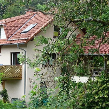 Ferienwohnung Am Berggrabenweg Ільменау Екстер'єр фото